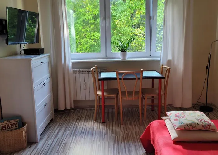 Sunny And Lovely Apartment. Near Chopin Airport!