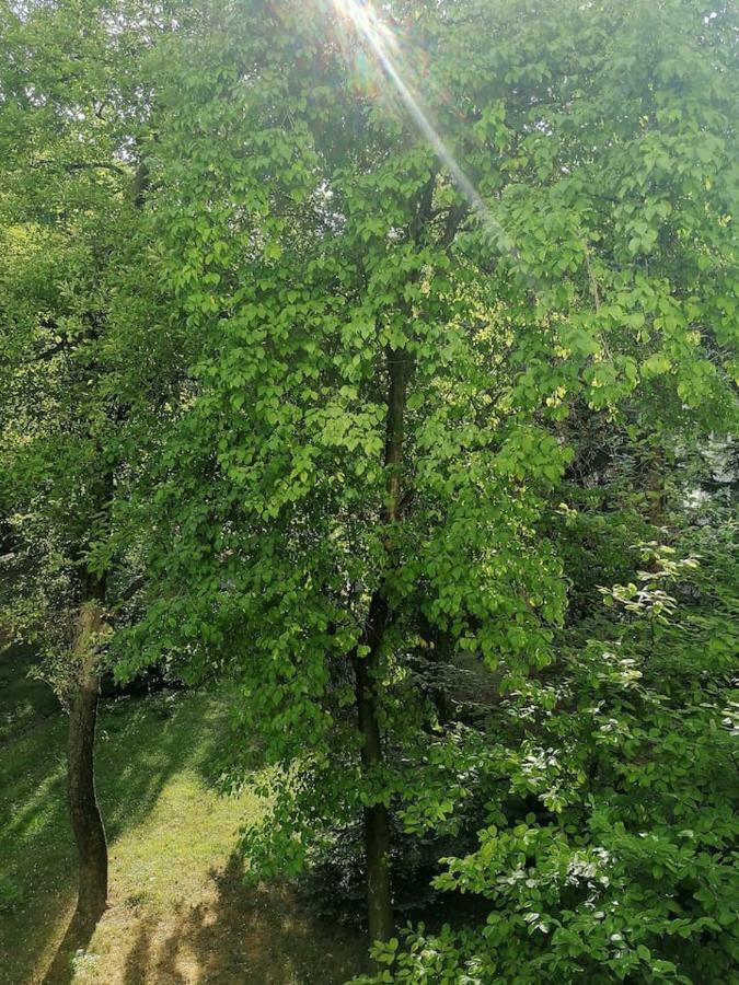 Sunny And Lovely Apartment. Near Chopin Airport! Leilighet *